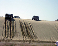 Group of Hummers on the dunes of Ebo, MO.